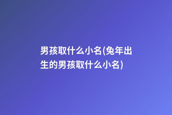 男孩取什么小名(兔年出生的男孩取什么小名)