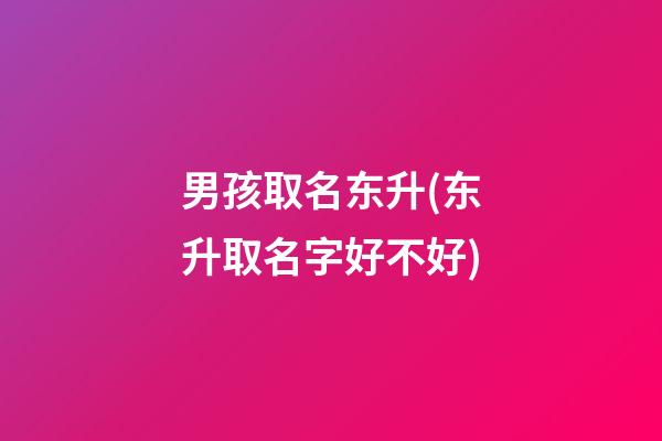 男孩取名东升(东升取名字好不好)