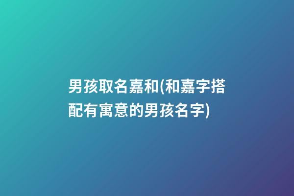 男孩取名嘉和(和嘉字搭配有寓意的男孩名字)