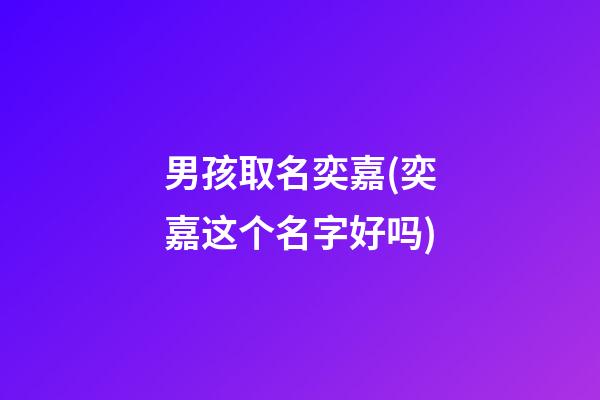 男孩取名奕嘉(奕嘉这个名字好吗)