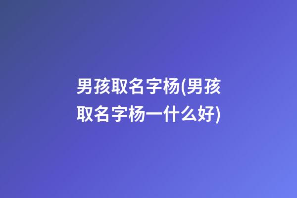 男孩取名字杨(男孩取名字杨一什么好)