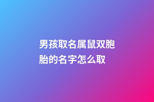 男孩取名属鼠双胞胎的名字怎么取