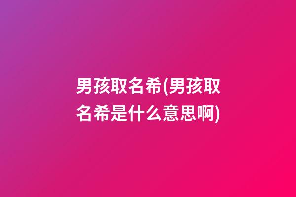 男孩取名希(男孩取名希是什么意思啊)