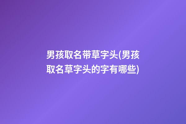 男孩取名带草字头(男孩取名草字头的字有哪些)