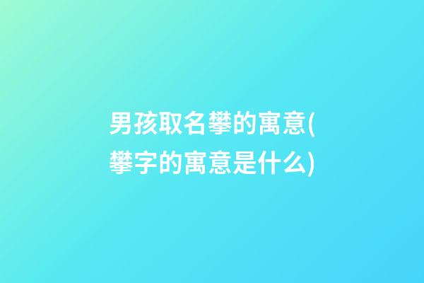 男孩取名攀的寓意(攀字的寓意是什么)