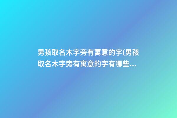 男孩取名木字旁有寓意的字(男孩取名木字旁有寓意的字有哪些)