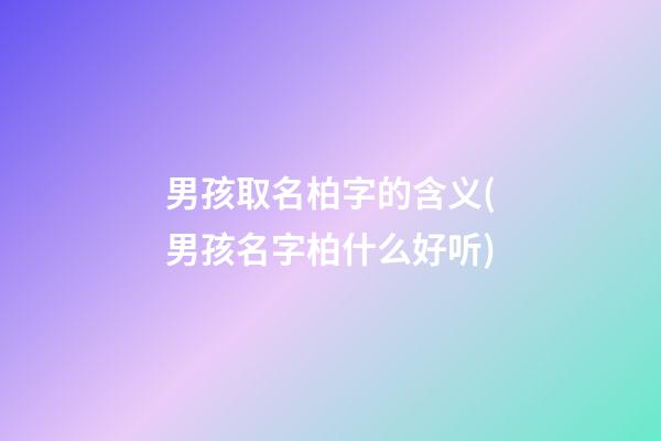 男孩取名柏字的含义(男孩名字柏什么好听)