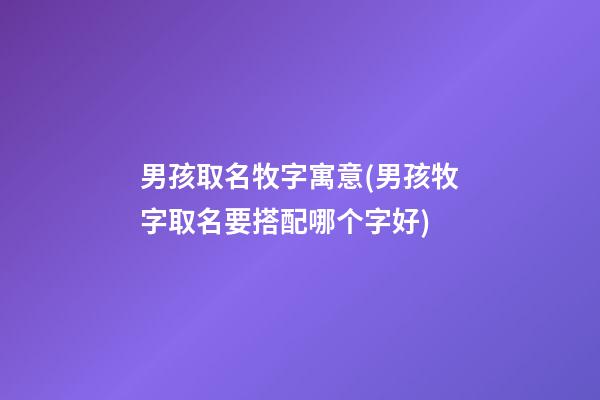 男孩取名牧字寓意(男孩牧字取名要搭配哪个字好)