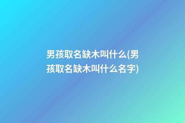 男孩取名缺木叫什么(男孩取名缺木叫什么名字)