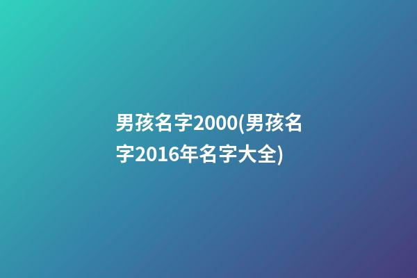 男孩名字2000(男孩名字2016年名字大全)