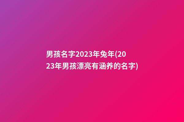 男孩名字2023年兔年(2023年男孩漂亮有涵养的名字)