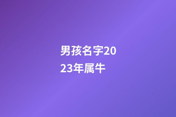 男孩名字2023年属牛