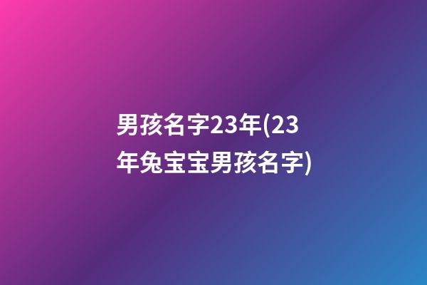 男孩名字23年(23年兔宝宝男孩名字)
