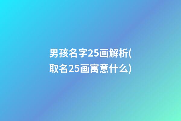 男孩名字25画解析(取名25画寓意什么)