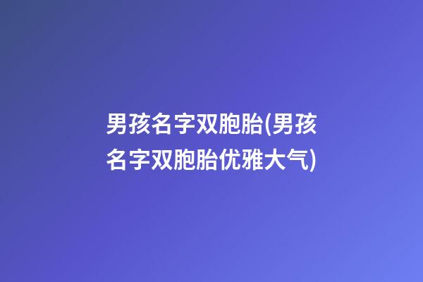 男孩名字双胞胎(男孩名字双胞胎优雅大气)