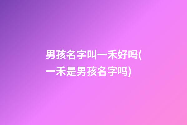 男孩名字叫一禾好吗(一禾是男孩名字吗)