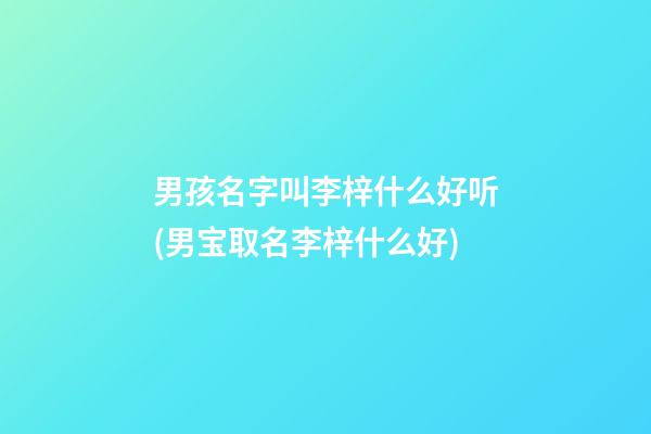 男孩名字叫李梓什么好听(男宝取名李梓什么好)