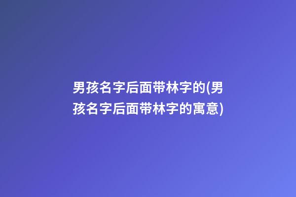 男孩名字后面带林字的(男孩名字后面带林字的寓意)