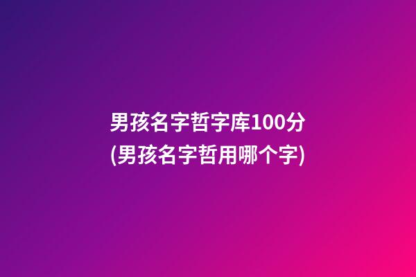男孩名字哲字库100分(男孩名字哲用哪个字)