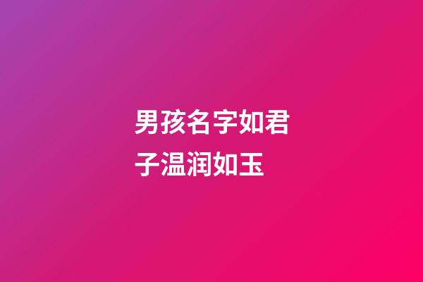 男孩名字如君子温润如玉