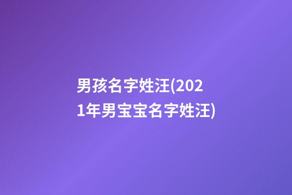 男孩名字姓汪(2021年男宝宝名字姓汪)