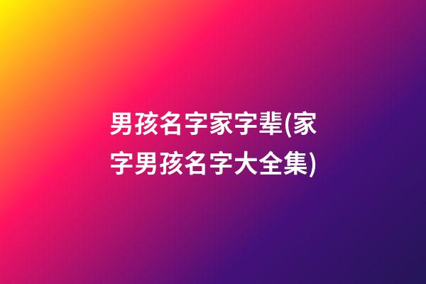 男孩名字家字辈(家字男孩名字大全集)