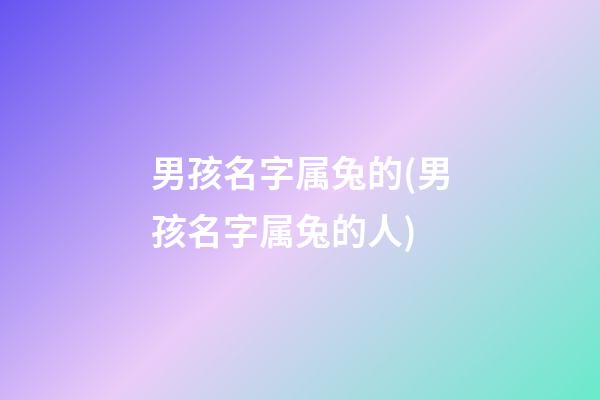 男孩名字属兔的(男孩名字属兔的人)