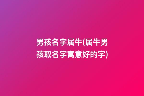 男孩名字属牛(属牛男孩取名字寓意好的字)