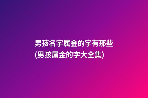 男孩名字属金的字有那些(男孩属金的字大全集)