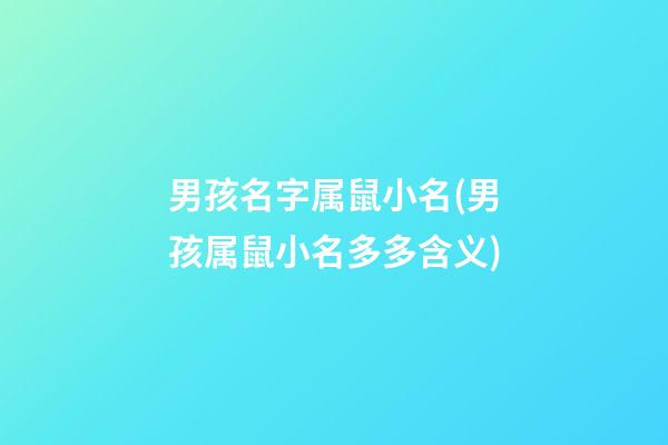 男孩名字属鼠小名(男孩属鼠小名多多含义)