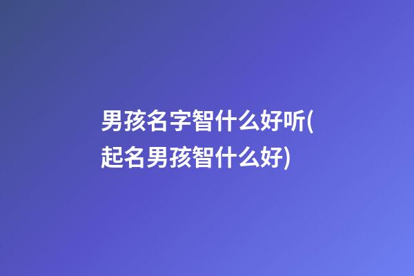 男孩名字智什么好听(起名男孩智什么好)