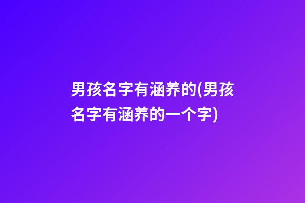 男孩名字有涵养的(男孩名字有涵养的一个字)