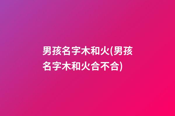 男孩名字木和火(男孩名字木和火合不合)