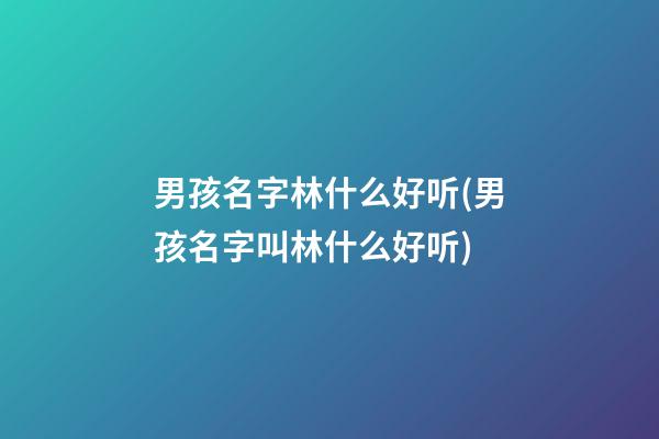 男孩名字林什么好听(男孩名字叫林什么好听)