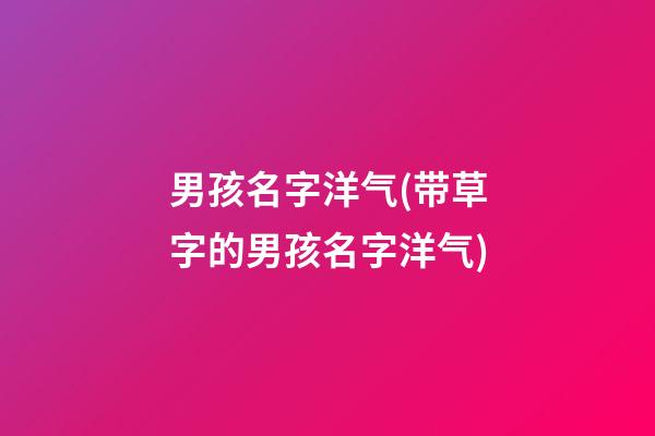 男孩名字洋气(带草字的男孩名字洋气)