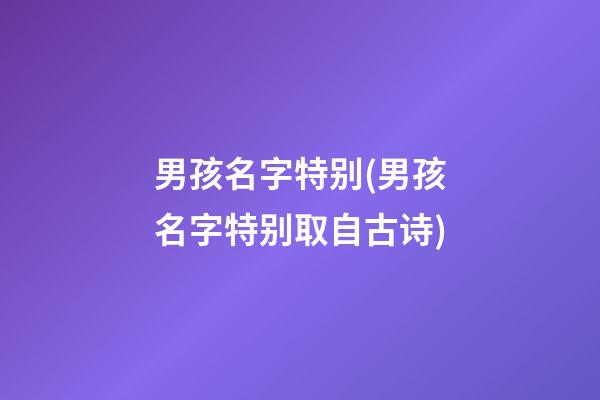 男孩名字特别(男孩名字特别取自古诗)