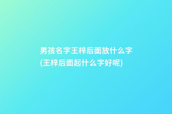男孩名字王梓后面放什么字(王梓后面起什么字好呢)