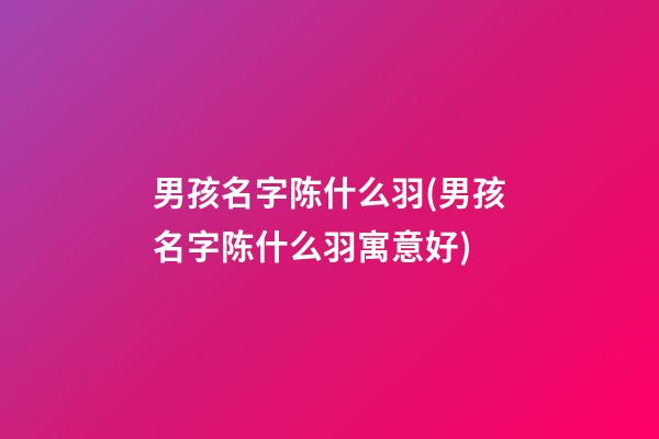 男孩名字陈什么羽(男孩名字陈什么羽寓意好)