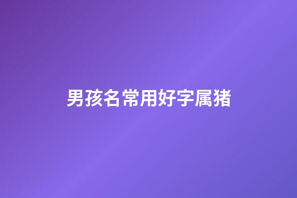 男孩名常用好字属猪