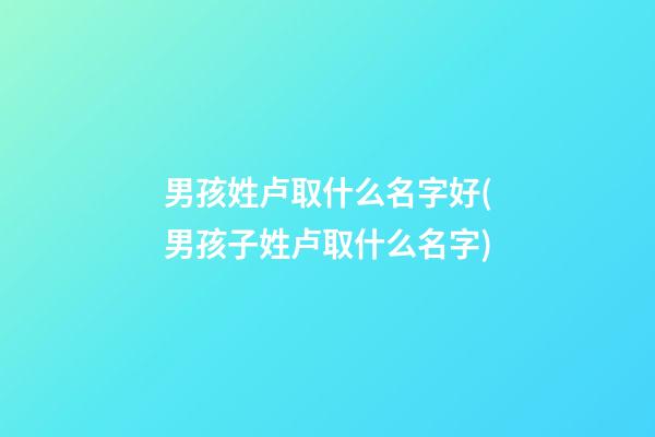 男孩姓卢取什么名字好(男孩子姓卢取什么名字)
