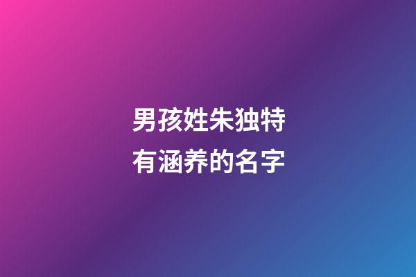 男孩姓朱独特有涵养的名字
