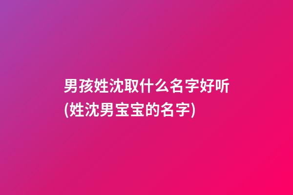 男孩姓沈取什么名字好听(姓沈男宝宝的名字)
