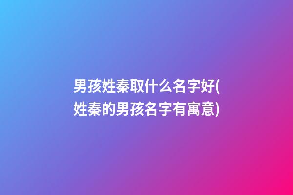 男孩姓秦取什么名字好(姓秦的男孩名字有寓意)