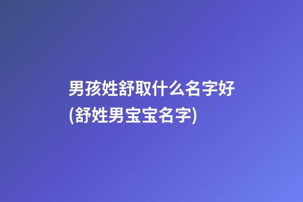 男孩姓舒取什么名字好(舒姓男宝宝名字)