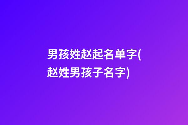 男孩姓赵起名单字(赵姓男孩子名字)