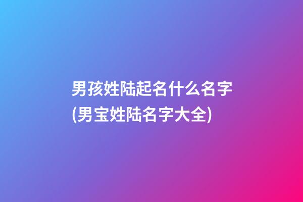 男孩姓陆起名什么名字(男宝姓陆名字大全)
