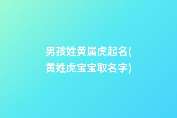 男孩姓黄属虎起名(黄姓虎宝宝取名字)