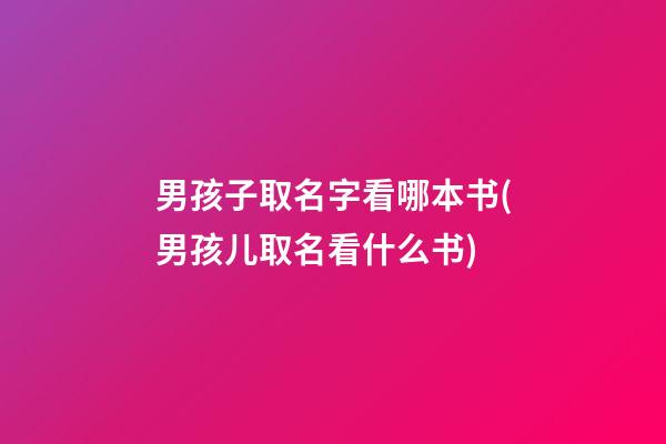男孩子取名字看哪本书(男孩儿取名看什么书)