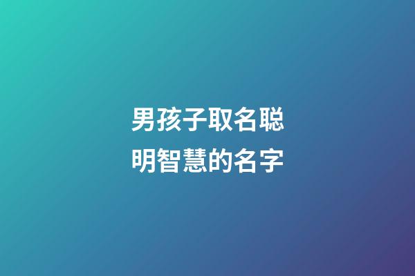 男孩子取名聪明智慧的名字
