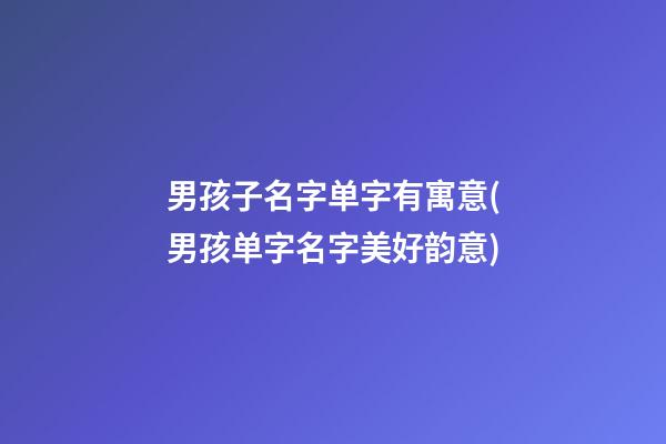 男孩子名字单字有寓意(男孩单字名字美好韵意)
